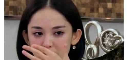 娜扎被爆料视频全集下载,揭秘娱乐圈风波背后的真相