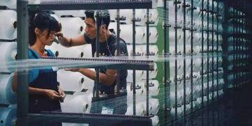 再见瓦城手机在线观看,穿越时空的泰国爱情传奇